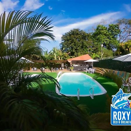 Roxy'S Bed & Breakfast Boca Chica Exteriér fotografie