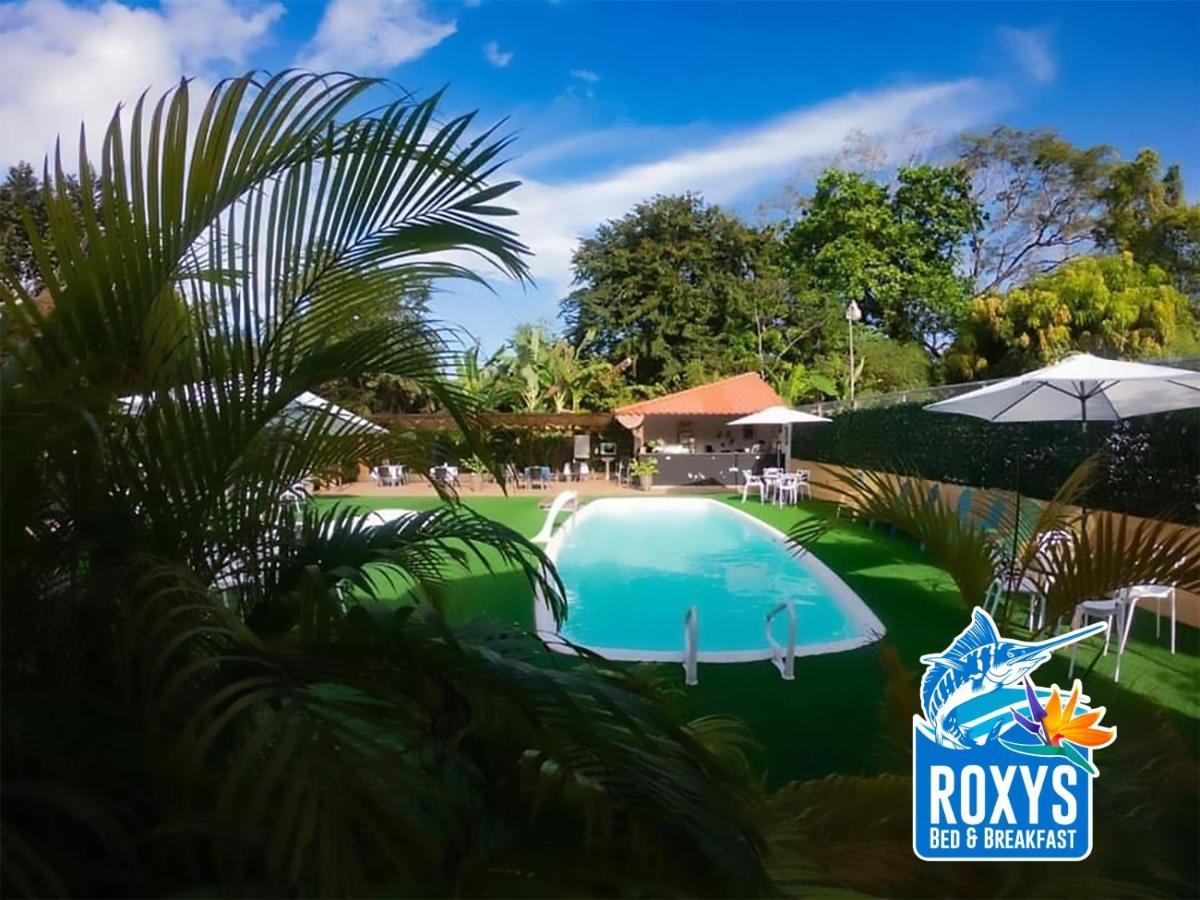 Roxy'S Bed & Breakfast Boca Chica Exteriér fotografie