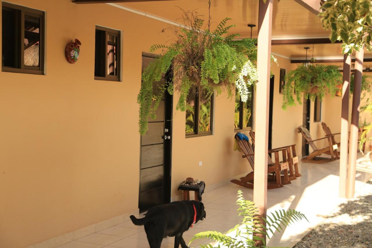 Roxy'S Bed & Breakfast Boca Chica Exteriér fotografie